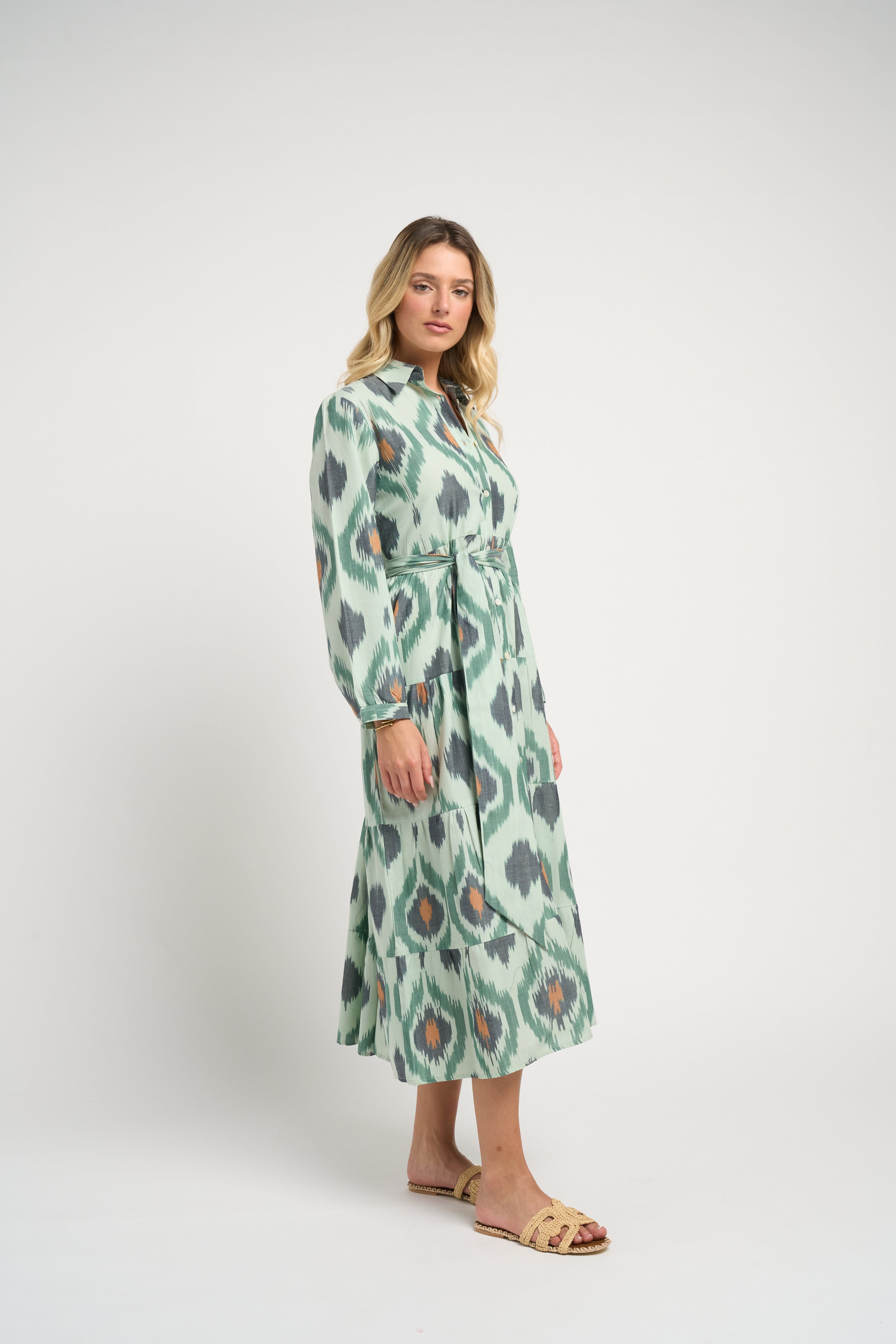 Ariel Ikat Dress Green