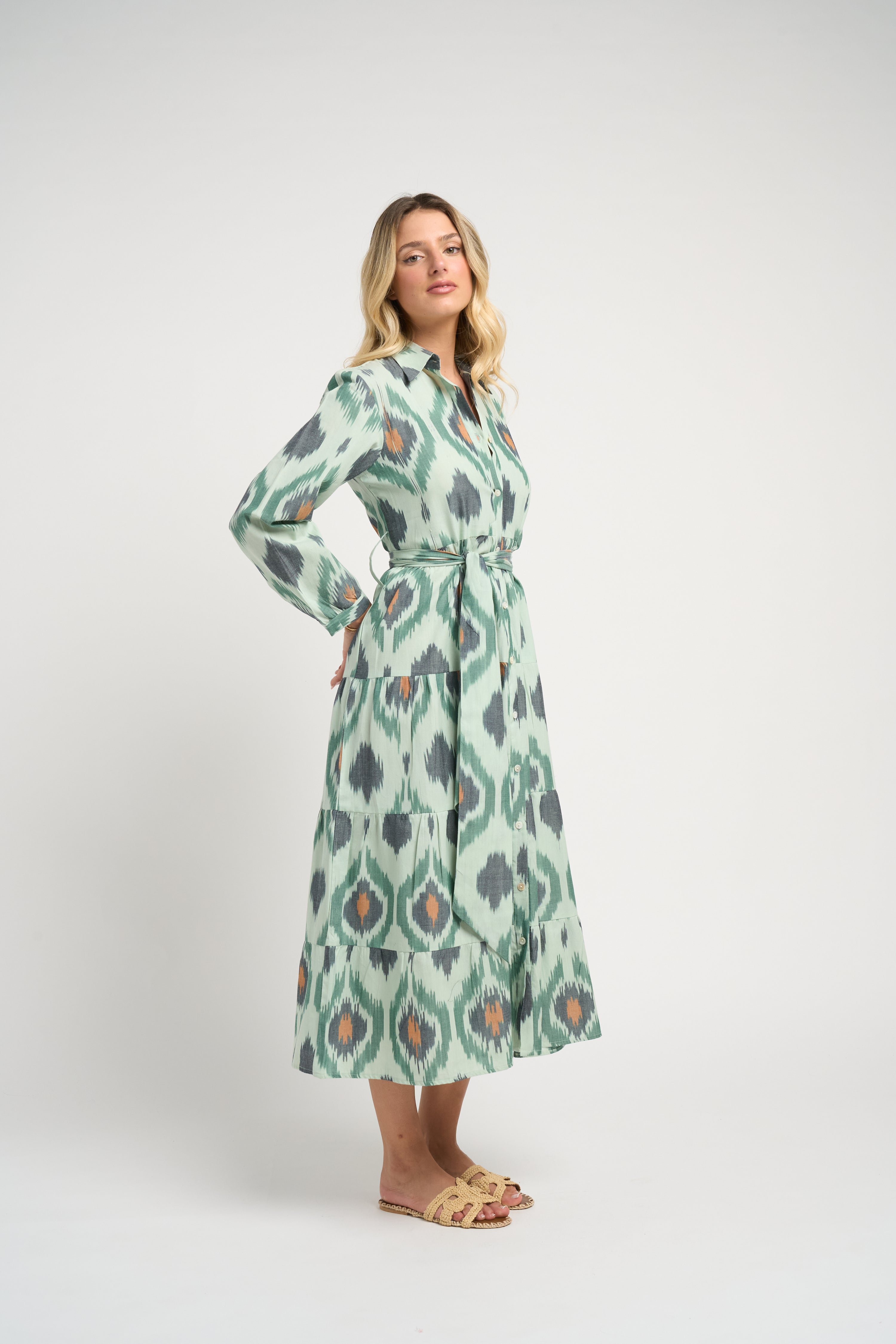 Ariel Ikat Dress Green